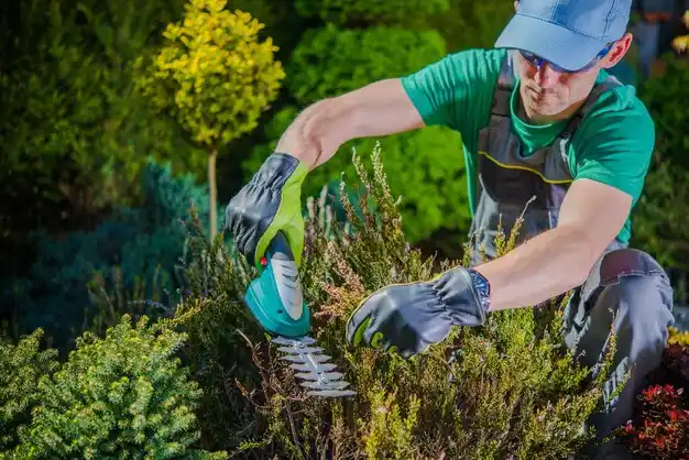 landscaping services Derma